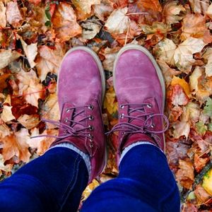 Womens Timberland 6in Boots in Burgundy Suede
